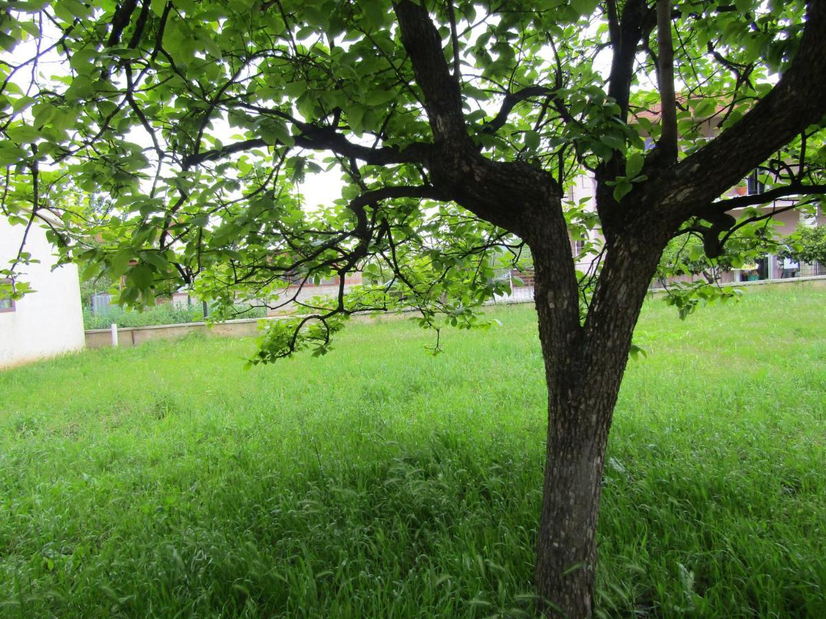 Green Gardens 2 Ровинь Экстерьер фото